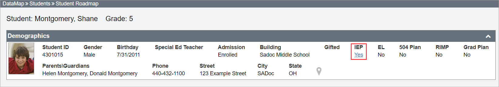 RoadMap_IEP.png