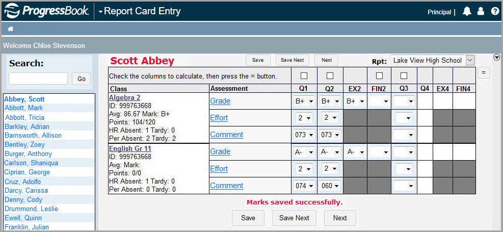 Rpt_Card_Entry_screen.jpg