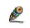 inset_200009.jpg