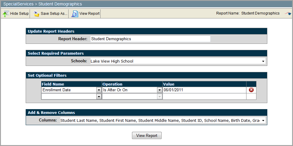 Report_Builder_-_Student_Demographics_Rpt_setup.png