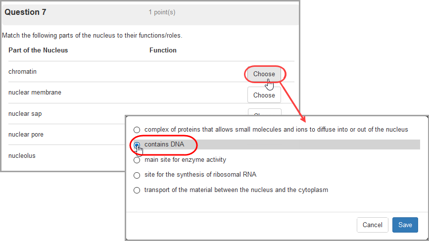 example multiple choice question